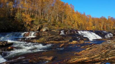 Autumn river sounds