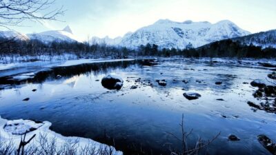 Bird and river sounds