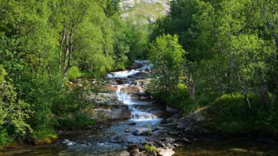 Green Forest River Flowing in Rainy Weather. Nature Sounds, Forest River,  White Noise for Sleeping. 