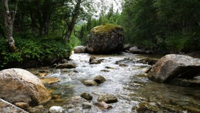 Bubbling mountain river