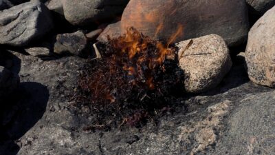 Burning dry seaweeds crackling and popping