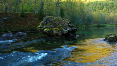 Calm river flowing and Robins singing