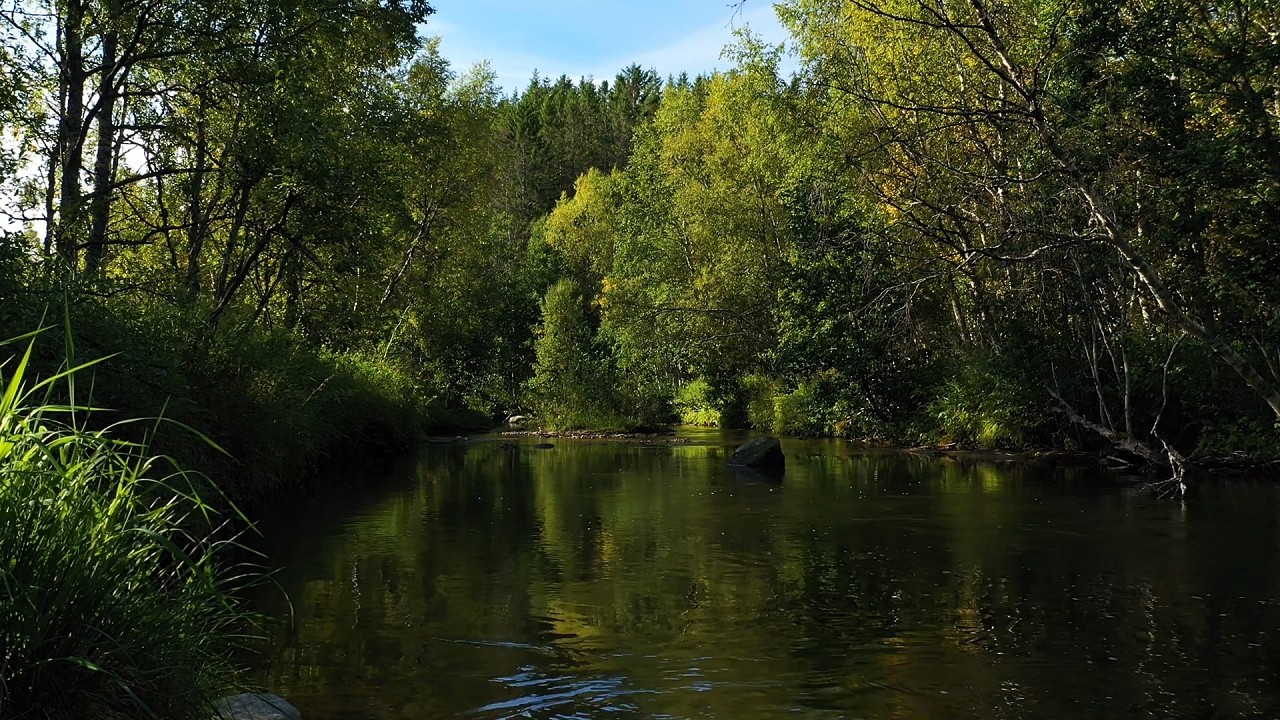 Peaceful river waterfalls, birds chirping, babbling streams