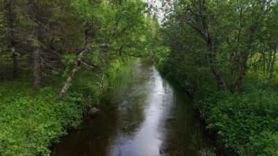 Calm sound of a river