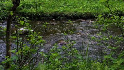 Calming river sound