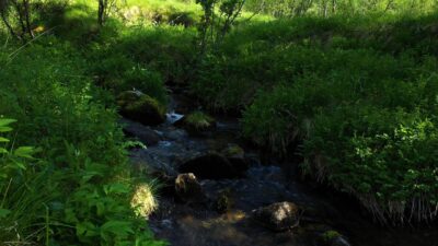 Calming sound of a stream