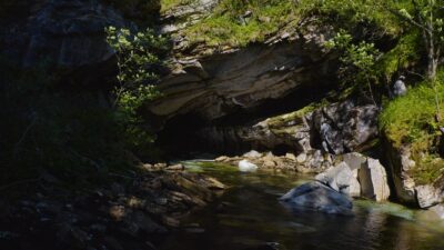 Crows cawing and a river flowing