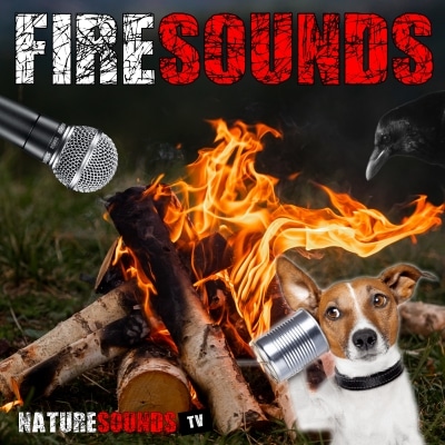 Fire Sounds