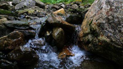 Little stream in the rocky forest