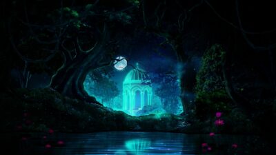 Magical forest night ambience