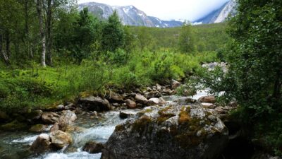 Norwegian mountain landscape