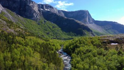 Nature scenes with bird sounds