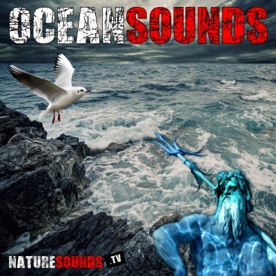 Ocean Sounds