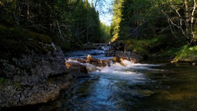 Peaceful landscape with nature sounds