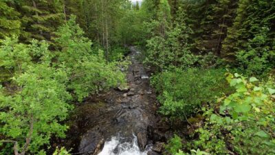 Relaxing river sound