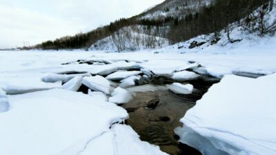 River and bird sounds