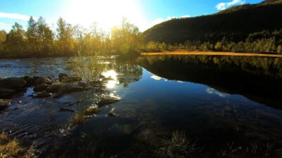 River flowing and birds singing