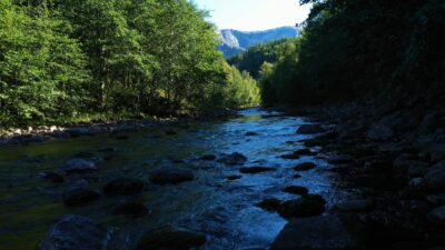 River flowing in the shadows