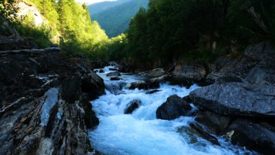 River in a green valley