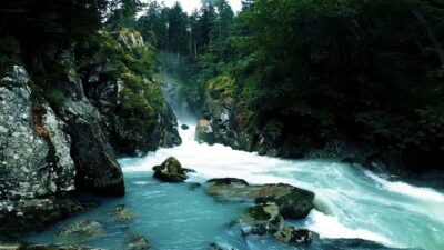 Roaring river in the forest