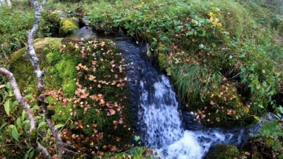 Small stream sound