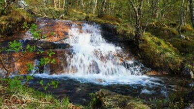 Small waterfall in the spring forest