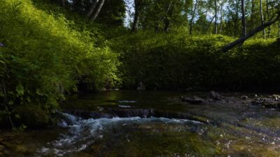 Soothing sound of a babbling brook