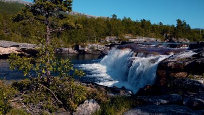 Waterfall roaring in the forest