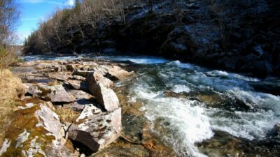 Spring forest river sound