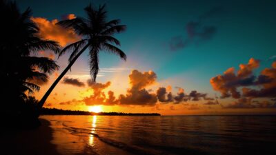 Tropical beach ambience