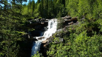 Waterfall in the forest