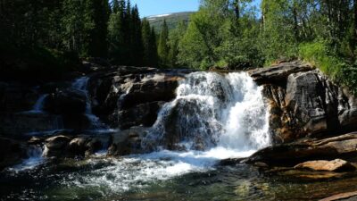 Waterfall in the green forest