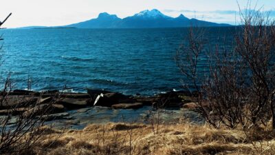 Windy spring day by the shore