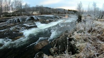 Winter forest river sound