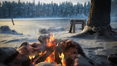 Campfire sounds with wolves howling